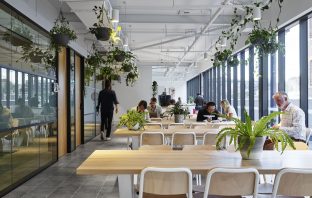 A view of a Hub Australia coworking space.